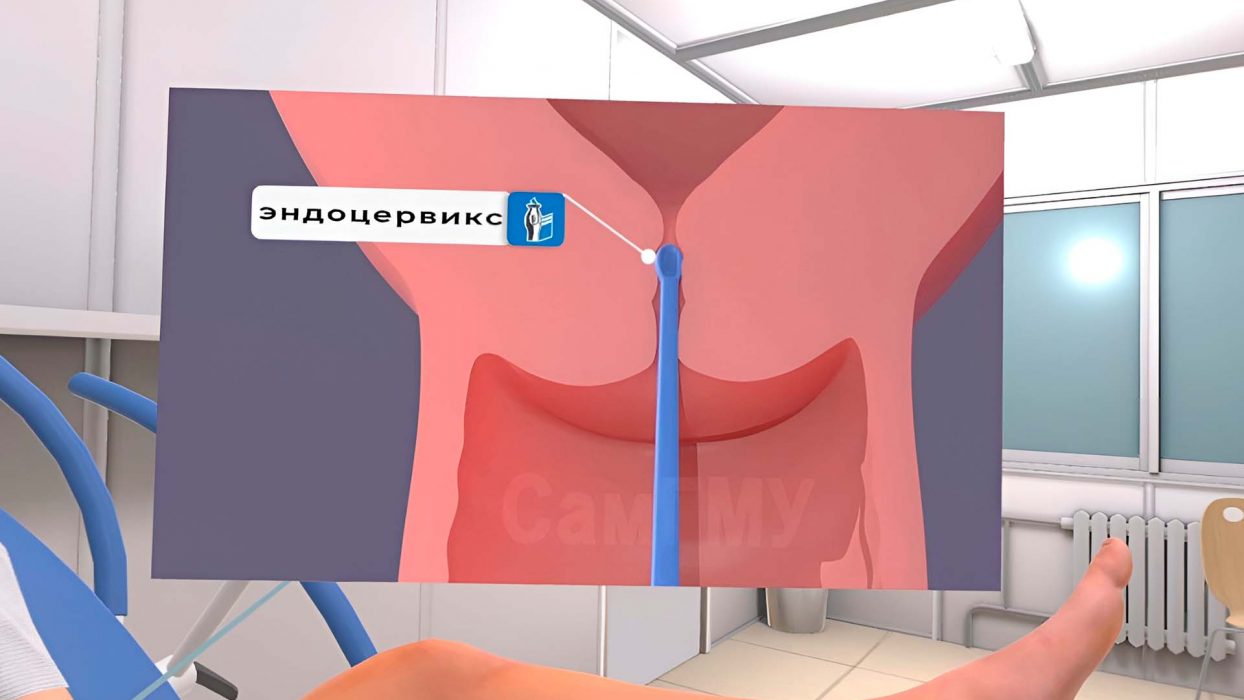 Симулятор Акушерство и гинекология